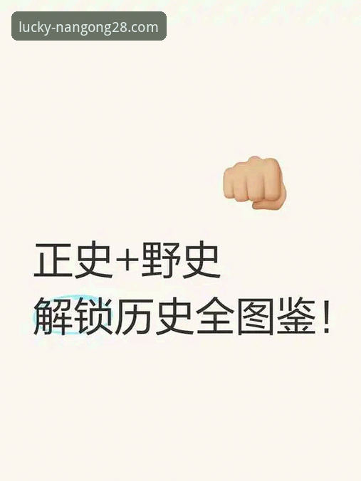 南宫28APP全面评测：资深用户带你解锁官方下载与核心体验