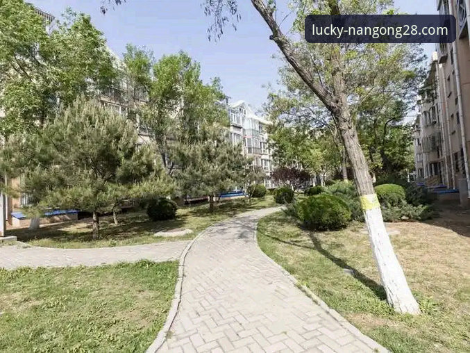 南宫28APP官方网站安装失败最新解决方案：新手常见问题与应对技巧